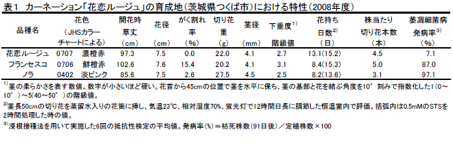 カーネーション「花恋ルージュ」の育成地(茨城県つくば市)における特性