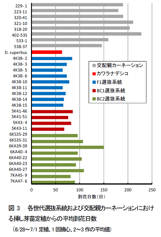 各世代選抜系統および交配親カーネーションにおけ る挿し芽苗定植からの平均到花日数