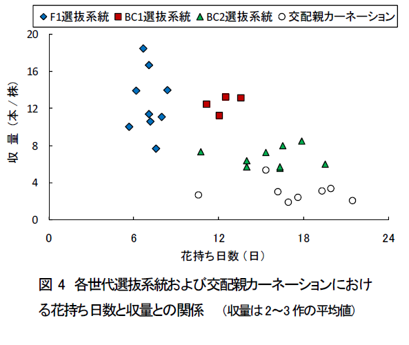 各世代選抜系統および交配親カーネーションにおけ る花持ち日数と収量との関係