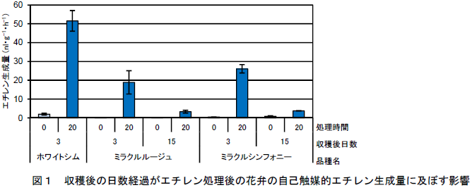 収穫後の日数経過がエチレン処理後の花弁の自己触媒的エチレン生成量に及ぼす影響