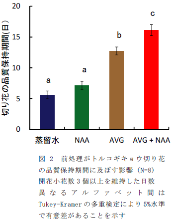 前処理がトルコギキョウ切り花 の品質保持期間に及ぼす影響