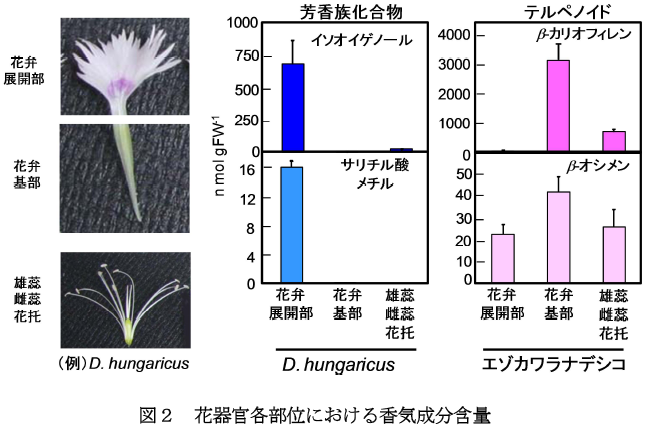 花器官各部位における香気成分含量