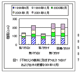 図1 「不知火」の樹高に及ぼすウイルス・ウイロイド および台木の影響