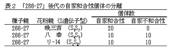 表2 「266-27」後代の自家和合性個体の分離