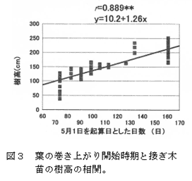 図3 葉の巻き上がり開始時期と接ぎ木苗の樹高の相関。