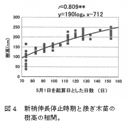 図4 新梢伸長停止時期と接ぎ木苗の樹高の相関。