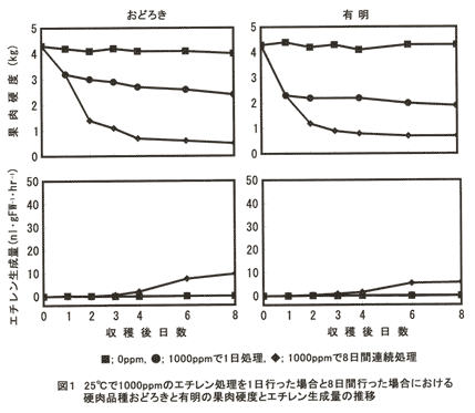 図1.25°Cで1000ppmのエチレン処理を1日行った場合と8日間行った場合における硬肉品種おどろきと有明の果肉硬度とエチレン生成量の推移