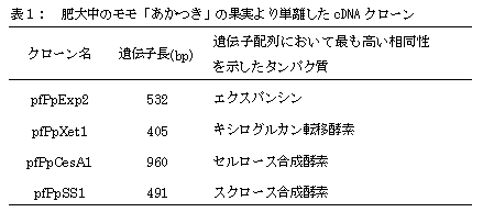 表1: 肥大中のモモ「あかつき」の果実より単離したcDNA クローン