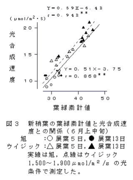 図3.新梢葉の葉緑素計値と光合成速度との関係