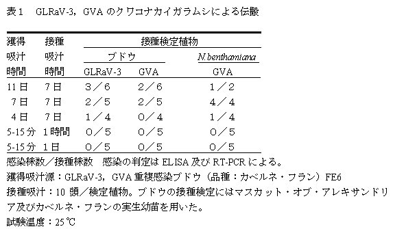 表1 GLRaV-3,GVA のクワコナカイガラムシによる伝搬