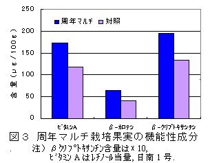 図3.周年マルチ栽培果実の機能性成分