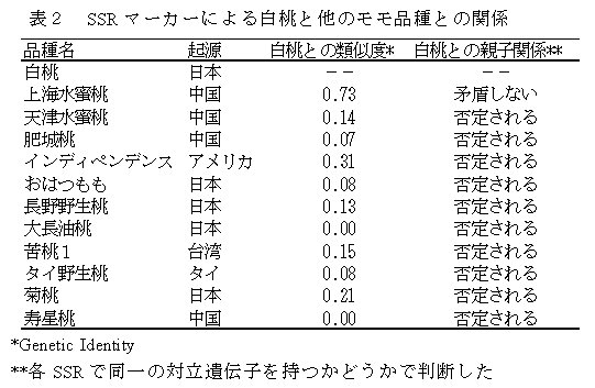 表2 SSR マーカーによる白桃と他のモモ品種との関係