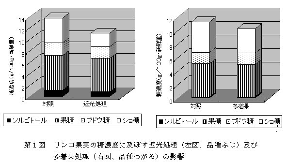 第1図、リンゴ果実の糖濃度に及ぼす遮光処理及び多着果処理の影響