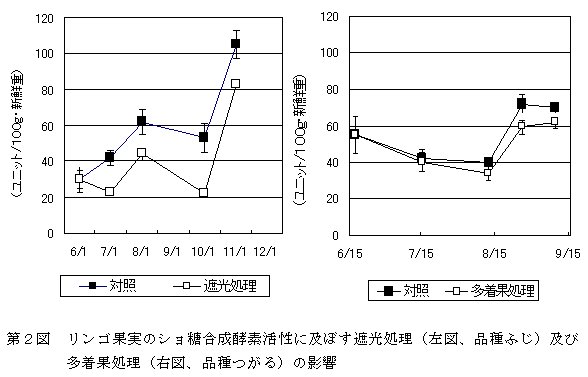 第2図、リンゴ果実のショ糖合成酵素活性に及ぼす遮光処理及び多着果処理の影響