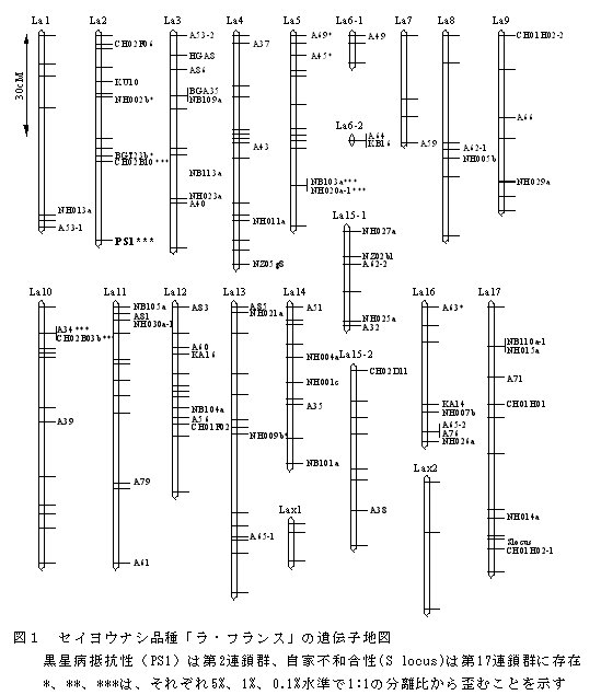 図1 セイヨウナシ品種ラ・フランスの遺伝子地図