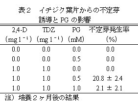 表2 イチジク葉片からの不定芽 誘導とPG の影響
