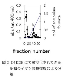 図2 1MKOH にて可溶化されてきた多 糖のイオン交換樹脂による分離