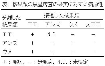 表 核果類の黒星病菌の果実に対する病原性