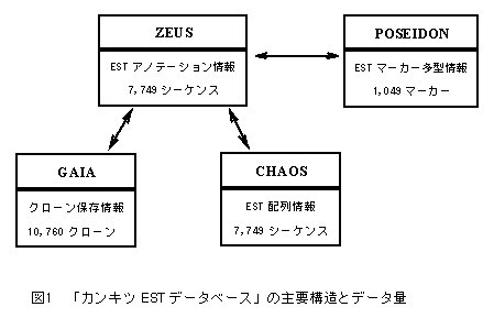 図1 「カンキツEST データベース」の主要構造とデータ量