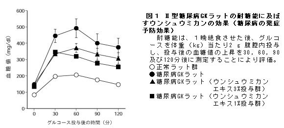 図1 II型糖尿病GKラットの耐糖能に及ぼ すウンシュウミカンの効果