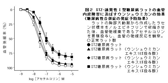 図2 STZ-誘発性I型糖尿病ラットの血管 内皮障害に及ぼすウンシュウミカンの効果