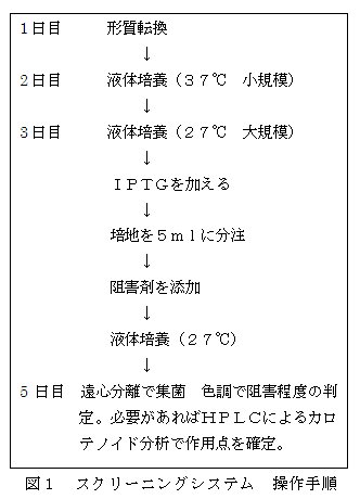 左:無処理 右:阻害剤処理