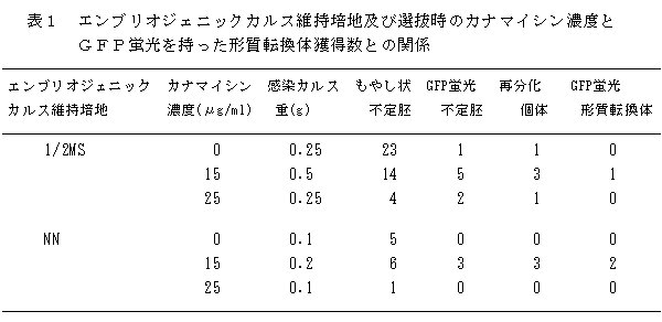 ブドウ「巨峰」のアグロバクテリウム法による形質転換