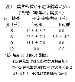   表1 葉片部位が不定芽誘導に及ぼす影響 (暗黒区,葉裏区)