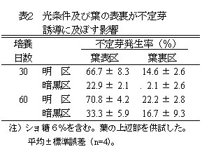 表2 光条件および葉の表裏が不定芽誘導に及ぼす影響