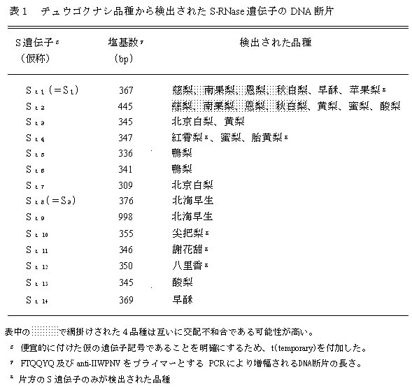 表1 チュウゴクナシ品種から検出されたS-RNase遺伝子のDNA断片