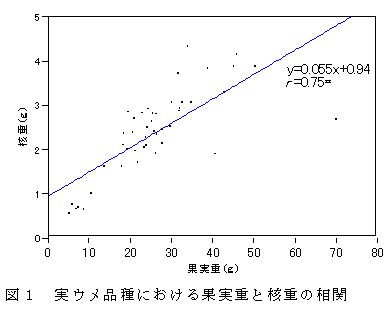 図1 実ウメ品種における果実重と核重の相関