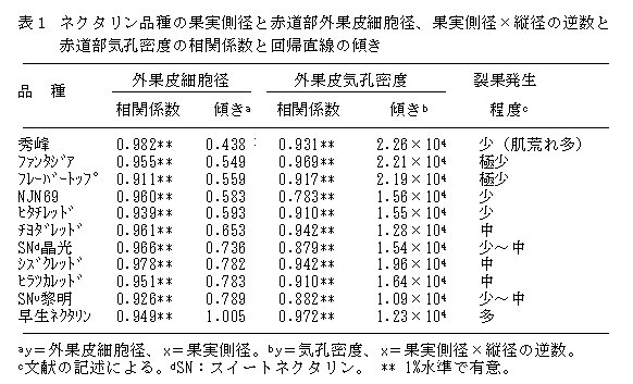 表1 ネクタリン品種の果実側径と赤道部外果皮細胞径、果実側径×縦径の逆数と赤道部気孔密度の相関係数と回帰直線の傾き