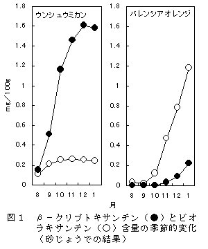 図1 β-クリプトキサンチンとビオラキサンチン含量の季節的変化