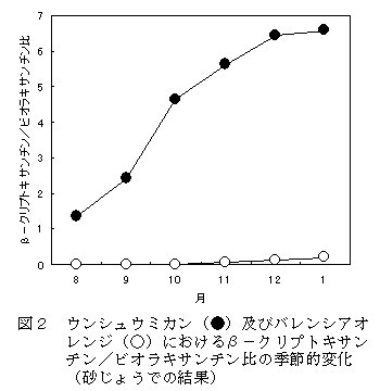 図2 ウンチュウミカン及びバレンシアオレンジにおけるβ-クリプトキサンチン/ビオラキサンチン比の季節的変化