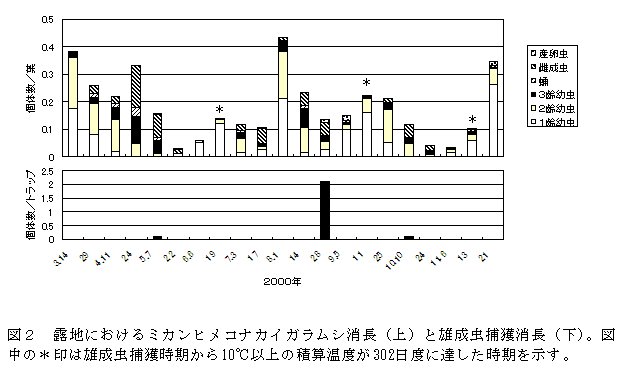 図2 露地におけるミカンヒメコナカイガラムシ消長(上)と雄成虫捕獲消長(下)。