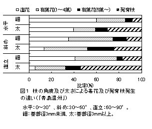 図1 枝の角度および太さによる着花および発育枝 発生の違い