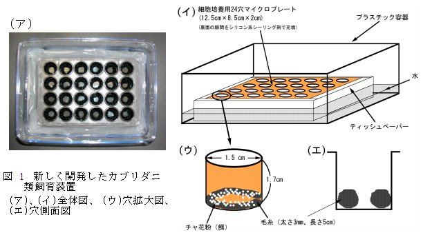 図1 新しく開発したカブリダニ 類飼育装置