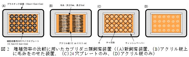 図2 増殖効率の比較に用いたカブリダニ類飼育装置