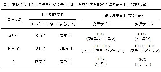 表1 アセチルコリンエステラーゼ遺伝子における突然変異部位の塩基配列およびアミノ酸