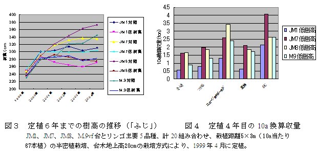図3 定植6年までの樹高の推移