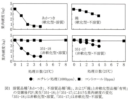 図1.溶質品種「あかつき」、不溶質品種「錦」、および「錦」と非軟化型品種「有明」の交雑後代F2実生「351-18」と「351-17」における果肉硬度の変化「351-18」は非軟化型・溶質、「351-17」は非軟化型・不溶質。