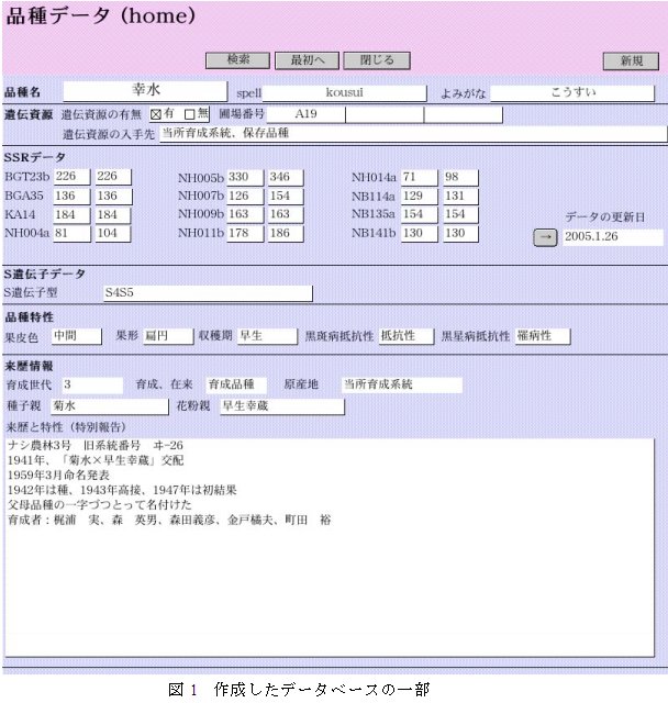 図1 作成したデータベースの一部