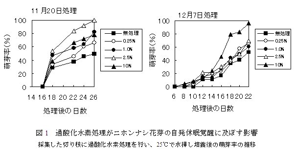 図1 過酸化水素処理がニホンナシ花芽の自発休眠覚醒に及ぼす影響