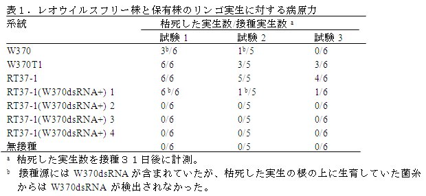 表1.レオウイルスフリー株と保有株のリンゴ実生に対する病原力