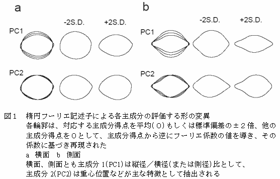 図1 楕円フーリエ記述子による各主成分の評価する形の変異