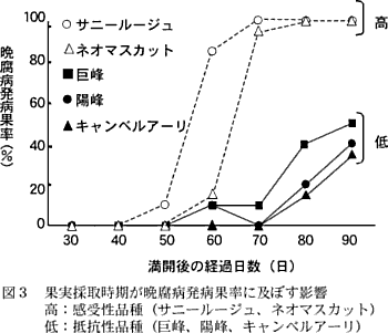 図3 果実採取時期が晩腐病発病果率に及ぼす影響