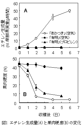 図1 エチレン生成量(A)と果肉硬度(B)の変化
