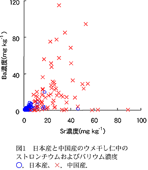 図1 日本産と中国産のウメ干し仁中のストロンチウムおよびバリウム濃度○,日本産、×,中国産