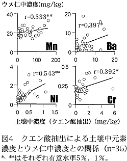 図4 クエン酸抽出による土壌中元素濃度とウメ仁中濃度との関係(n=35)