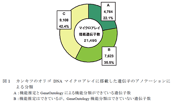 図1 カンキツのオリゴDNAマイクロアレイに搭載した遺伝子のアノテーションによる分類